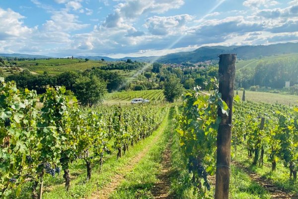 Кракен маркет только через тор скачать