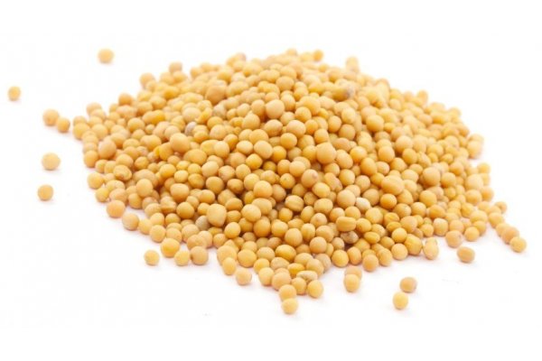 Рабочая ссылка кракен маркетплейс