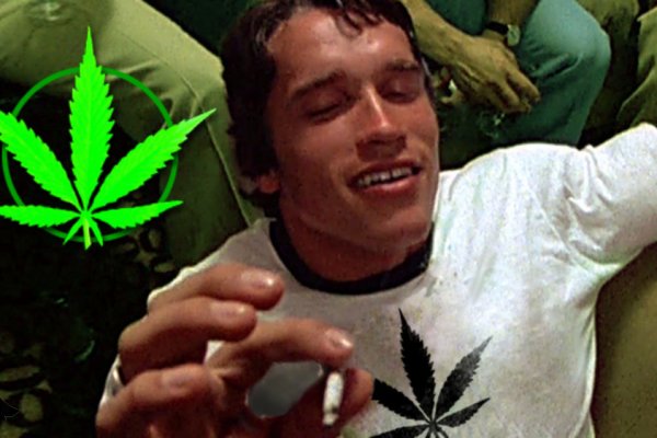 Что такое кракен в даркнете