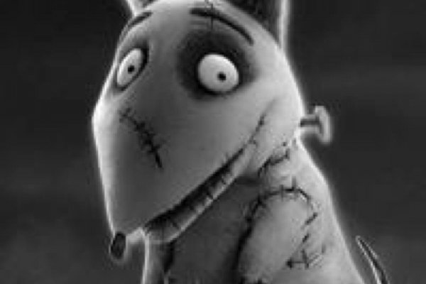 Даркнет москва