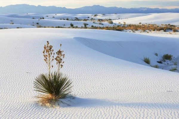 Kraken даркнет рынок ссылка