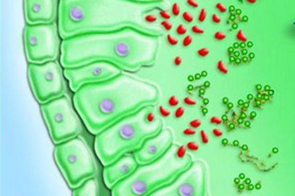 Кракен даркнет 2krnmarket