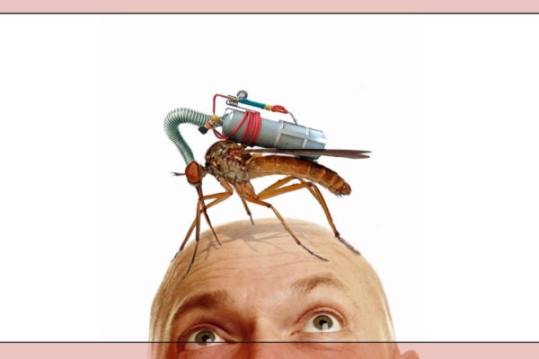 Даркмаркет кракен