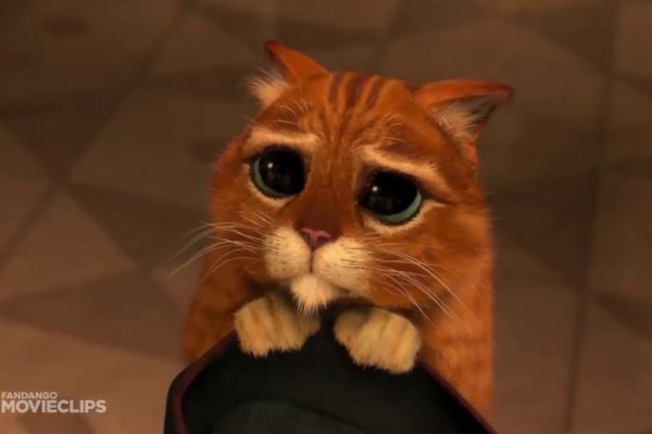 Кракен лого маркетплейс