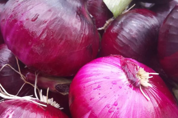 Пользователь не найден при входе на кракен