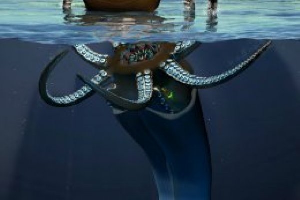 Как открыть ссылку с кракена