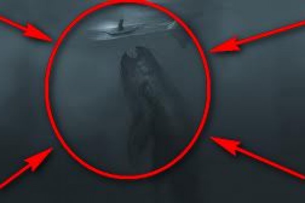 Кракен маркетплейс создатель