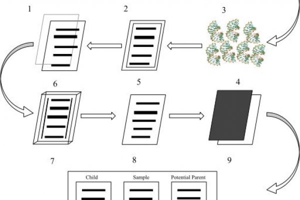 Ошибка на кракене
