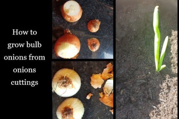 Kra38.at Вход на сайт главная страница