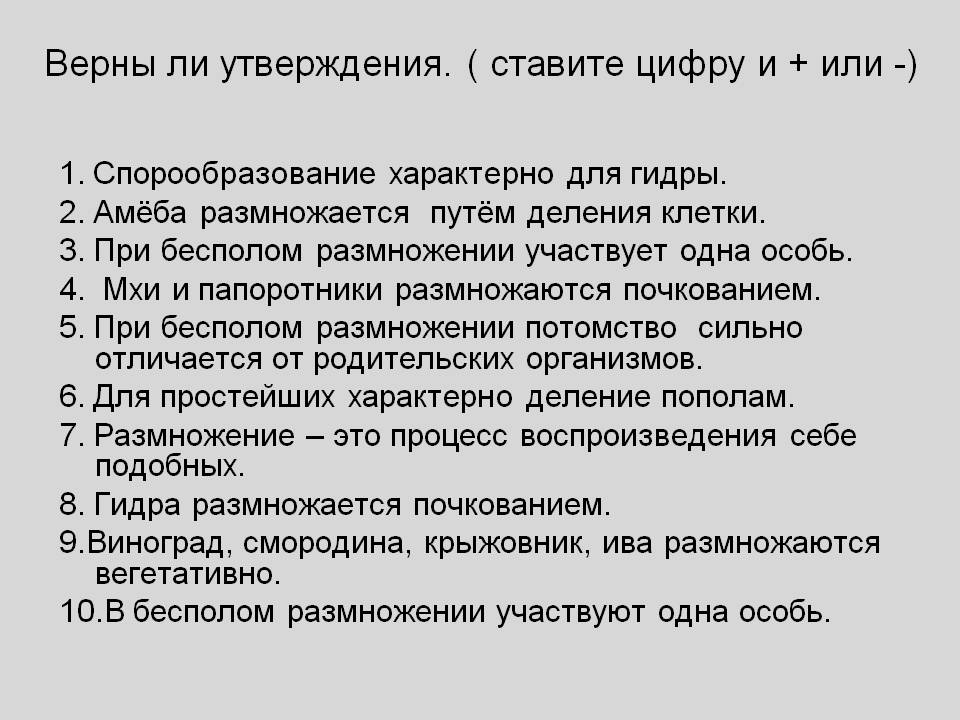 Кракен сайт ссылка онлайн