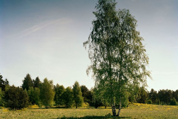 Кракен не работает