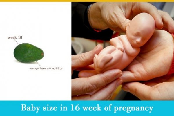 Зайти кракен через тор