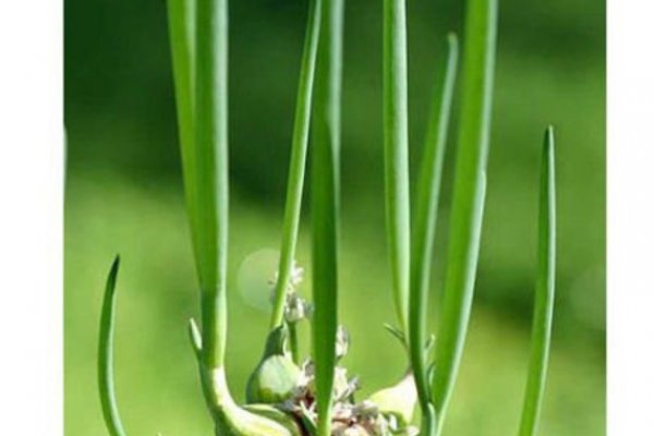 Kra38.at Вход на сайт главная страница