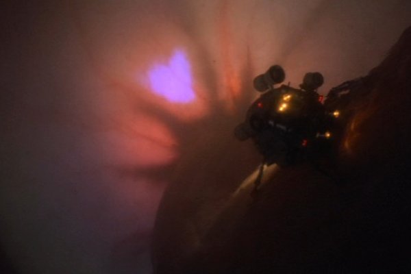 Кракен даркет