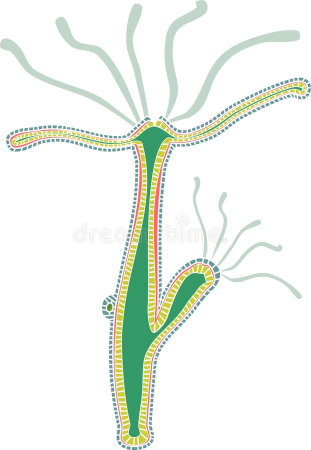 Гидра зайти кракен
