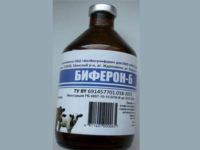 Kraken ссылка актуальная москва